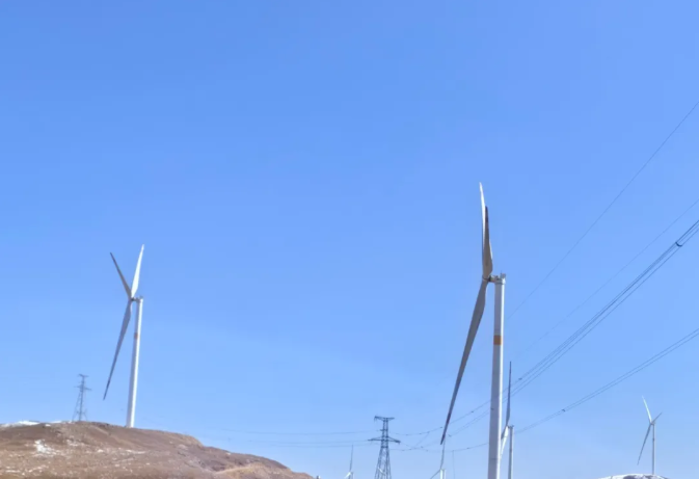 2026.4.12春风催绿3